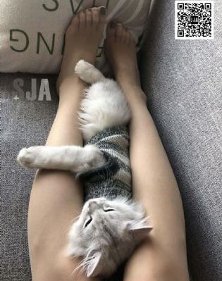 我朋友的老婆在线_BD国语全集免费观看