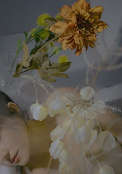 一夫三妻免费观看电视剧_字幕高清版在线观看